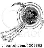 Clipart Of A Vintage Black And White Flying Peacock And Circle Royalty Free Vector Illustration by Prawny Vintage