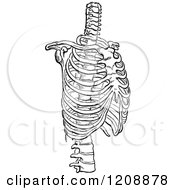 Clipart Of A Vintage Black And White Human Rib Cage Royalty Free Vector Illustration