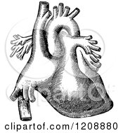 Poster, Art Print Of Vintage Black And White Human Heart