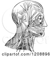 Poster, Art Print Of Vintage Black And White Diagram Of Facial Nerve And Cervical Plexus