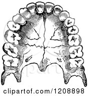 Clipart Of Vintage Black And White Human Teeth Royalty Free Vector Illustration
