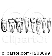 Clipart Of Vintage Black And White Human Teeth Royalty Free Vector Illustration by Prawny Vintage