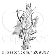 Clipart Of A Vintage Black And White Naval Officer Climbing A Tree Royalty Free Vector Illustration