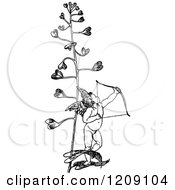 Poster, Art Print Of Vintage Black And White Cupid Archer And Love Plant