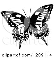 Poster, Art Print Of Vintage Black And White Butterfly