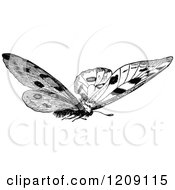 Poster, Art Print Of Vintage Black And White Butterfly 2
