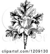 Clipart Of A Vintage Black And White Flower And Leaves Royalty Free Vector Illustration