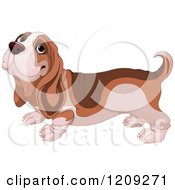 Poster, Art Print Of Cute Happy Basset Hound Dog
