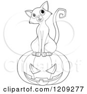 Black And White Curious Cat Sitting On A Halloween Jackolantern Pumpkin