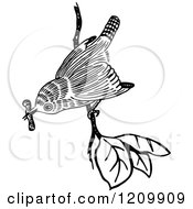 Clipart Of A Black And White Bird With A Worm On A Branch Royalty Free Vector Illustration