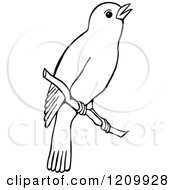 Clipart Of A Black And White Bird On A Branch Royalty Free Vector Illustration