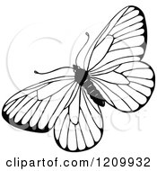Clipart Of A Black And White Butterfly Royalty Free Vector Illustration