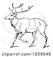 Poster, Art Print Of Black And White Deer With Butcher Sections Of Venison Cuts