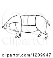 Poster, Art Print Of Black And White Pig With Butcher Sections Of Meat Cuts