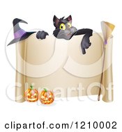 Black Cat Over A Scroll Sign With A Witch Hat Broomstick And Halloween Pumpkins