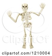 Cartoon Of A Happy Skeleton Waving With Both Hands Royalty Free Vector Clipart