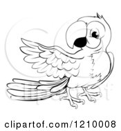 Poster, Art Print Of Black And White Presenting Macaw Parrot