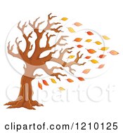 Poster, Art Print Of Tree Being Stripped Of Autumn Leaves In A Breeze