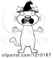 Cartoon Of A Black And White Scared Halloween Witch Cat Royalty Free Vector Clipart
