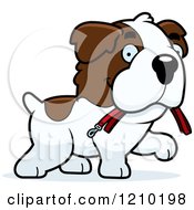 St Bernard Dog Carrying A Leash In His Mouth
