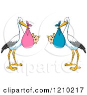 Poster, Art Print Of Baby Storks
