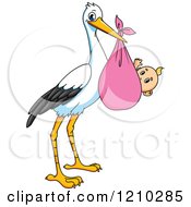 Poster, Art Print Of Baby Delivery Stork With A Girl