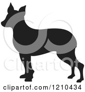 Poster, Art Print Of Black Silhouetted Dog