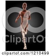 Poster, Art Print Of 3d Running Xray Man With Visible Skeleton And Highlighted Leg Bones