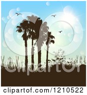 Poster, Art Print Of Brown Silhouetted Hills And Palm Trees With Birds Against A Flare Sky