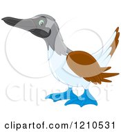 Poster, Art Print Of Blue Footed Boobie Bird