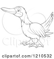 Cartoon Of An Outlined Blue Footed Boobie Bird Royalty Free Vector Clipart