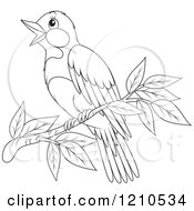 Cartoon Of An Outlined Perched Bird Royalty Free Vector Clipart