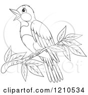 Poster, Art Print Of Outlined Perched Bird