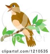 Cartoon Of A Perched Bird Royalty Free Vector Clipart