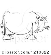 Poster, Art Print Of Outlined Dairy Cow Eating Grass