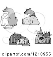 Grayscale Dogs And Cats