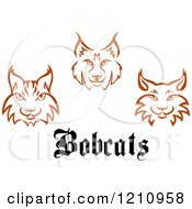 Poster, Art Print Of Brown Bobcat Faces And Text