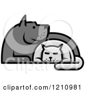 Grayscale Dog And Cat Cuddling