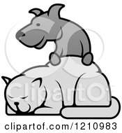 Poster, Art Print Of Grayscale Dog Resting His Paws On A Cat