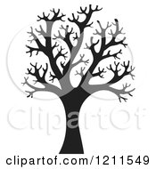 Poster, Art Print Of Black Silhouetted Bare Tree