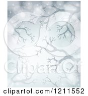 Poster, Art Print Of Winter Background Of Bare Tree Branches And Flares Over Gray