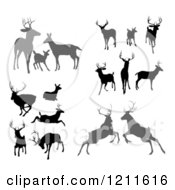 Poster, Art Print Of Gray And Black Silhouetted Deer Stags Bucks Does And Fawns