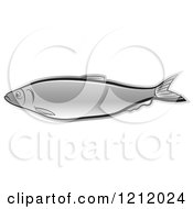 Poster, Art Print Of Silver Fish