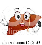 Healthy Liver Organ Mascot Holding A Thumb Up
