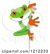 Poster, Art Print Of Cute Tree Frog Looking Around A Corner