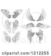 Clipart Of Pairs Of Black Feathered Wings Royalty Free Vector Illustration