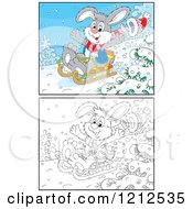 Poster, Art Print Of Outlined And Colored Rabbit Sledding Downhill