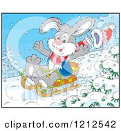Cartoon Of A Rabbit Sledding Downhill Royalty Free Vector Clipart