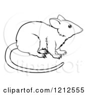 Poster, Art Print Of Outlined Chinese Zodiac Rat