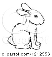 Poster, Art Print Of Outlined Chinese Zodiac Rabbit